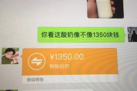 盐源如何避免债务纠纷？专业追讨公司教您应对之策